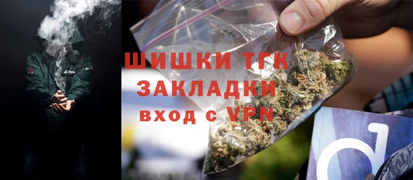 прущие грибы Балахна