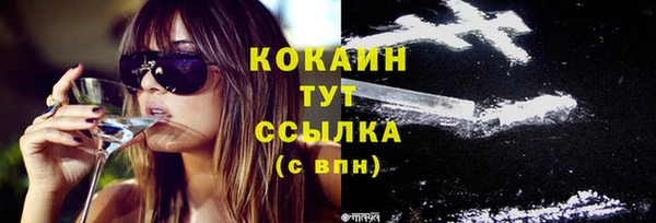 прущие грибы Белокуриха