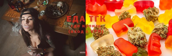 прущие грибы Балахна