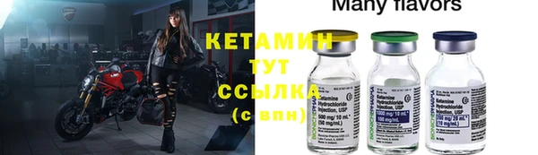 прущие грибы Балахна