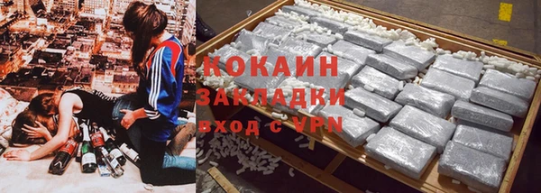 прущие грибы Белокуриха