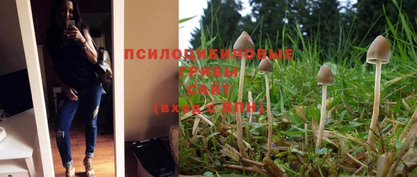 твердый Баксан