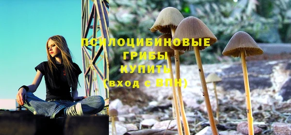 твердый Баксан